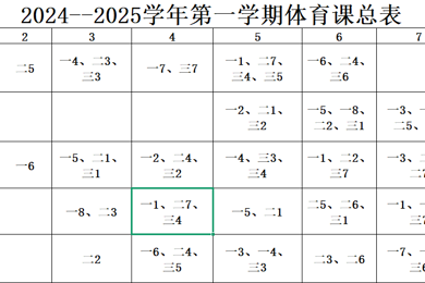 2024-2025学年长桥中学体育总课表