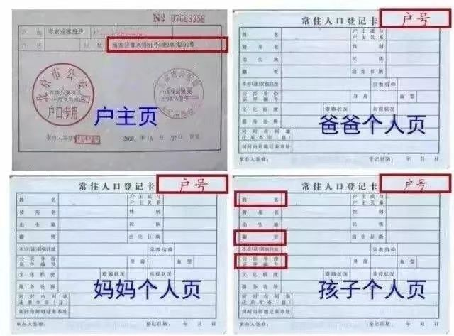 图片1